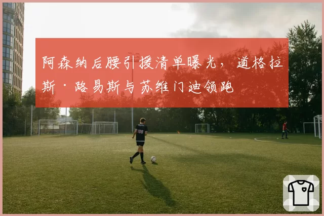 阿森纳后腰引援清单曝光，道格拉斯·路易斯与苏维门迪领跑