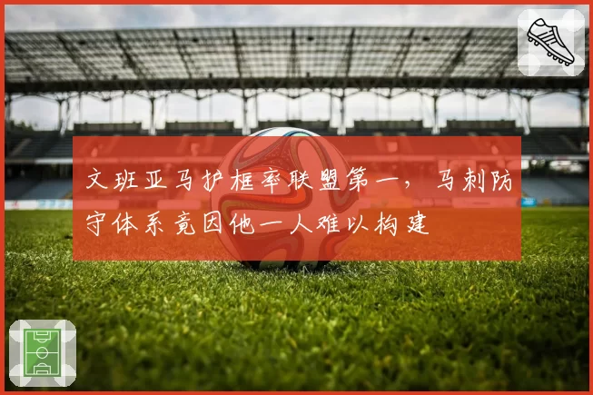 文班亚马护框率联盟第一，马刺防守体系竟因他一人难以构建